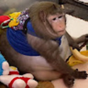 Meet your Posher, Bethany